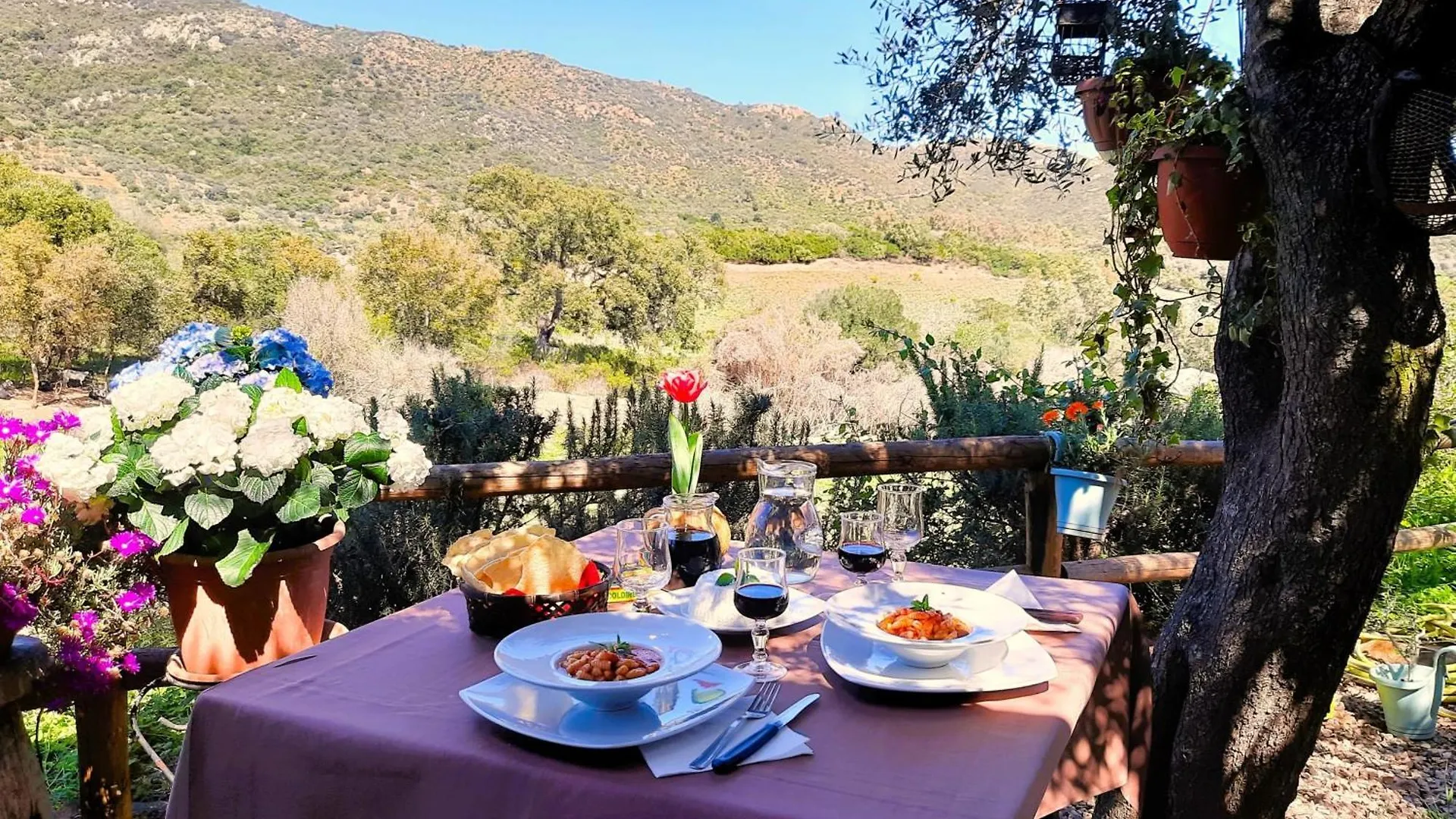 Country house Agriturismo Nuraghe Murtarba Guest House Villagrande Strisaili