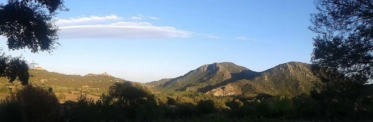 Agriturismo Nuraghe Murtarba Guest House Villagrande Strisaili Italy